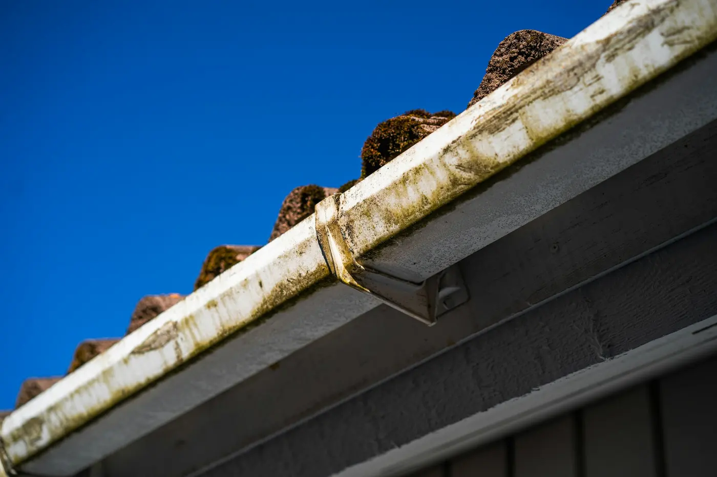Gutter cleaning