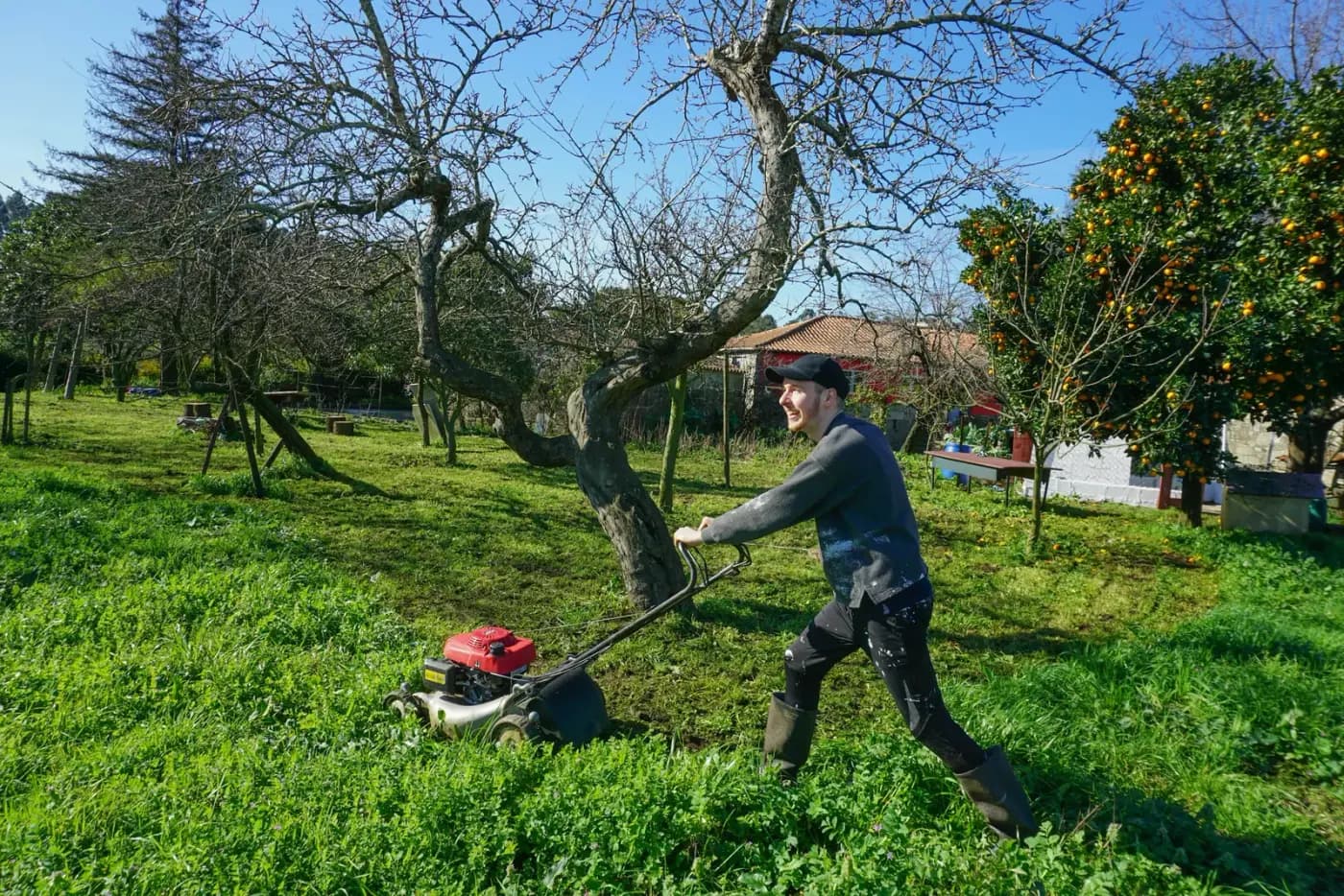 Lawn and garden maintenance